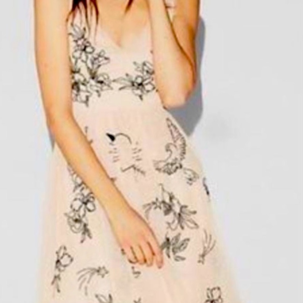 Express Floral Embellished Fit And Flare Dress NWT Size 2
